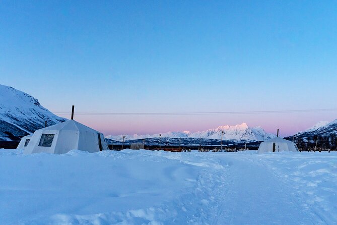 Overnight Stay with Reindeer Sledding & Feeding - The Tromsø Lapland setup: 6pm start, 17 hours of Arctic calm