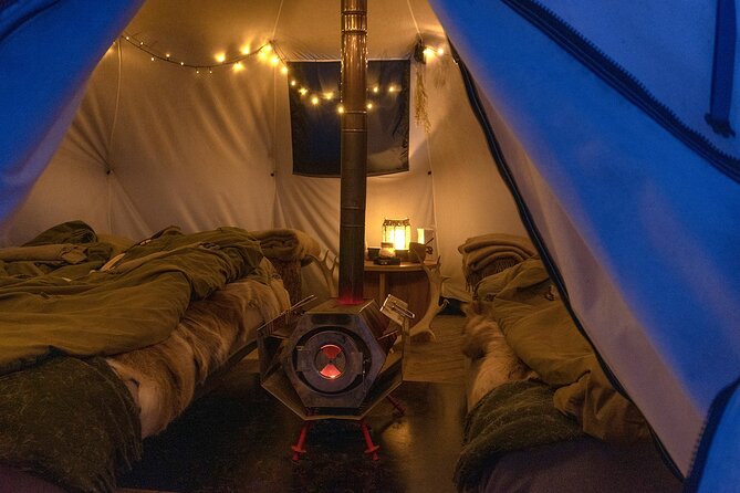 Overnight Stay with Reindeer Sledding & Feeding - Northern Lights chances: you get time, not promises
