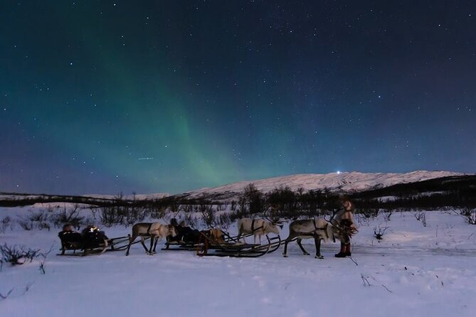 Overnight Stay with Reindeer Sledding & Feeding - Sami stew dinner in the lavvu: warm food, real stories