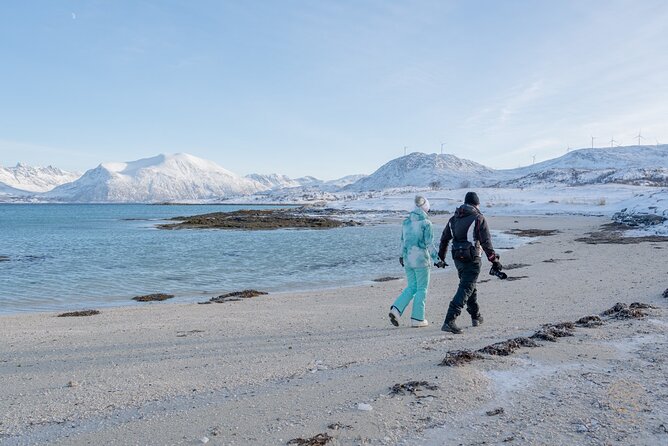 Private Arctic Fjord Roadtrip with Scenic Picnic from Tromso - The Scenic Picnic and Warm Drinks: Small Detail, Big Comfort