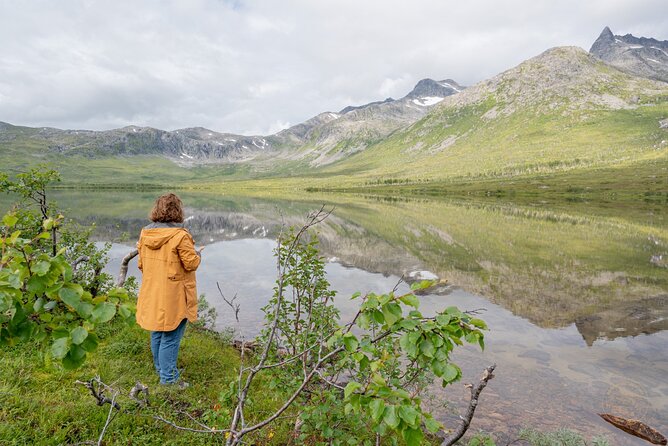 Private Arctic Fjord Roadtrip with Scenic Picnic from Tromso - Timing and What About That 5-Hour Window