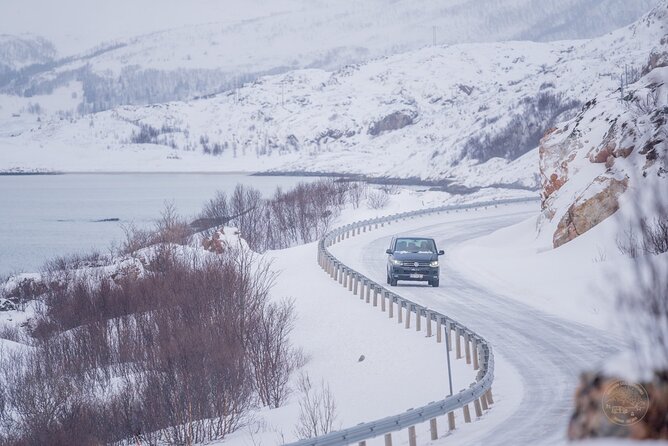 Private Arctic Fjord Roadtrip with Scenic Picnic from Tromso - Weather, Wildlife, and How Flexible You Need to Be