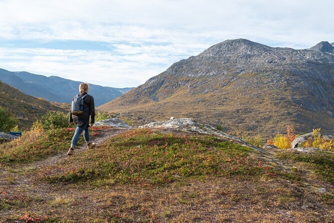 Private Arctic Fjord Roadtrip with Scenic Picnic from Tromso - Sommarøy and the Island Feel: Why Two Islands Work Better Than One