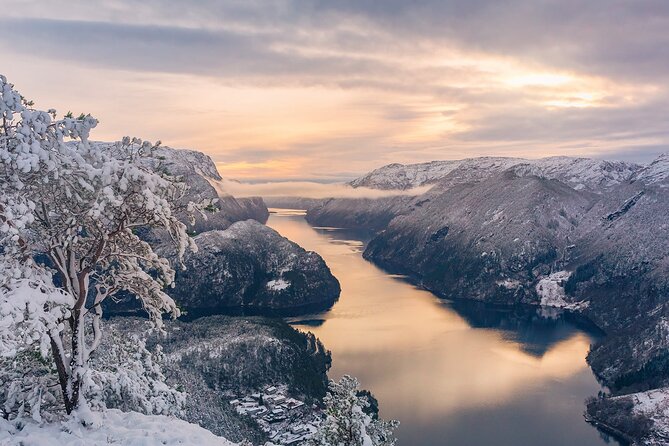 Private Cruise: Mostraumen by Zodiac or Lux Pontoon Boat - A Fjord Day That Feels Like a Local Route, Not a Crowd Schedule