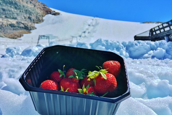 PRIVATE GUIDED TOUR: Folgefonna Glacier roundtrip from Bergen, 8 hours - Picnic lunch options and what’s included on food