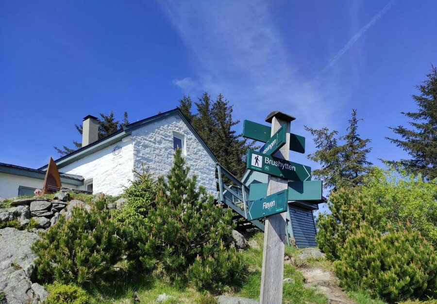 Private hiking tour Bergen mountains like a local - Off-Road Routes That Stay Adaptable to Your Fitness