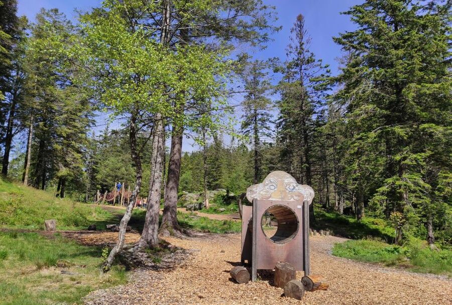 Private hiking tour Bergen mountains like a local - Private Group Setup and What It Means for Value