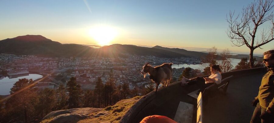 Private hiking tour Bergen mountains like a local - Mount Floyen Lookout Point: City Views, Not Just Trail Time