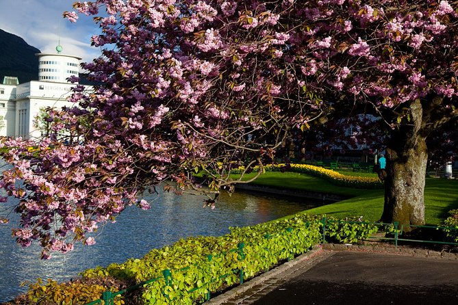 PRIVATE TOUR: Bergen city sightseeing, 5 hours - The Fløyen funicular stop: quick orientation with big payoff