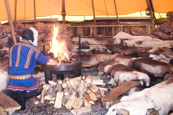 Reindeer Feeding and Sami Culture Including Lunch from Tromso - Who This Tour Suits Best