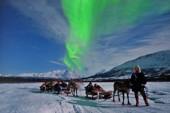 Reindeer Sledding and Feeding with Chance of Northern Lights Tromso - Meeting point, timing, and transfers you will actually use