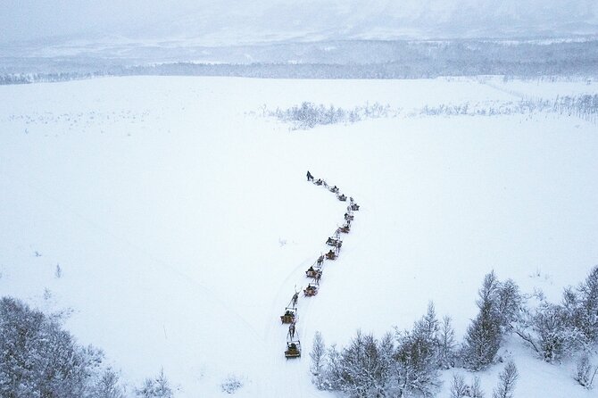 Reindeer Sledding and Feeding with Sami Culture in Tromso. - Key Highlights to Know Before You Go