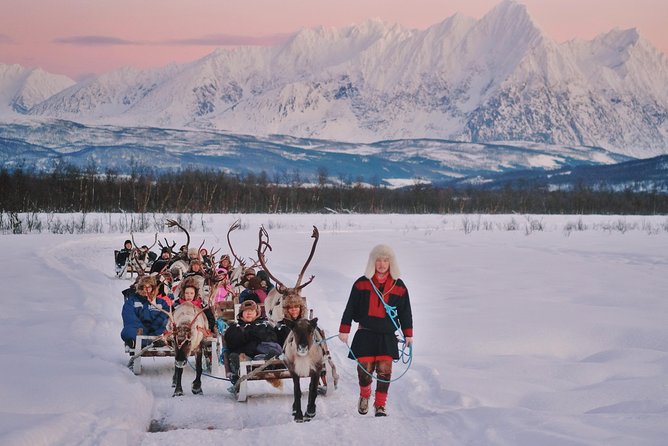 Reindeer Sledding and Feeding with Sami Culture in Tromso. - Camp Life: Reindeer Feeding and the Sámi Story in a Heated Setting