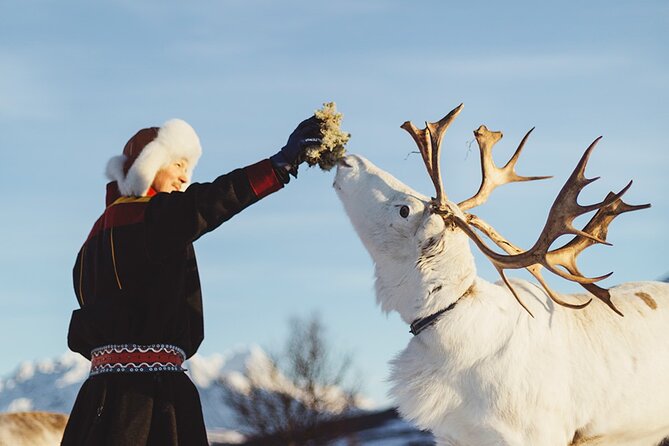 Reindeer Sledding and Feeding with Sami Culture in Tromso. - The 30-Minute Sled Ride: Snow Rules and Partial Refunds