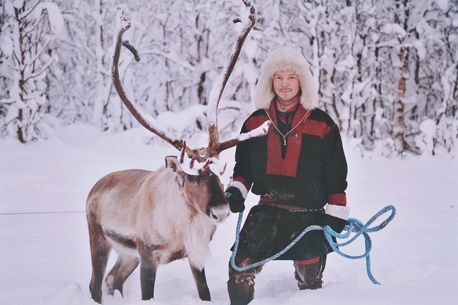 Reindeer Sledding and Feeding with Sami Culture in Tromso. - Lunch, Drinks, and Reindeer Stew (Plus Vegan Option)