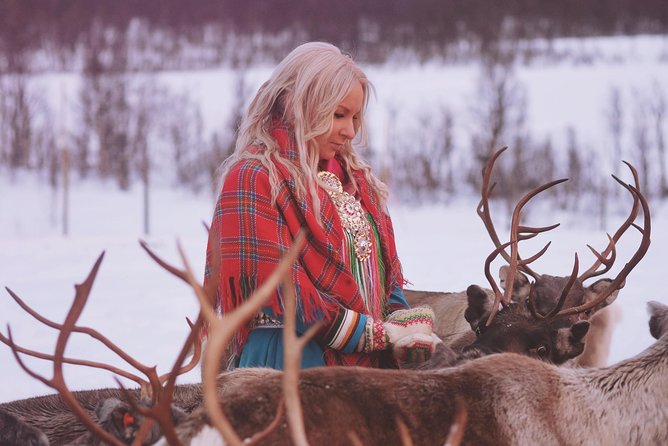 Reindeer Sledding and Feeding with Sami Culture in Tromso. - Who Should Book This (and Who Might Want Another Option)