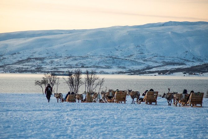 Reindeer Sledding Experience and Sami Culture Tour from Tromso - Prostneset bus terminal to Sami camp, the 25-minute setup