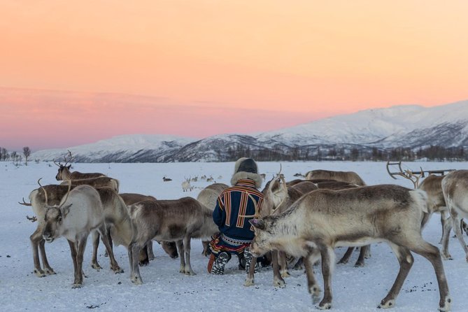 Sami Culture and Short Reindeer Sledding from Tromso - The Short Sleigh Ride and How Weather Can Change It