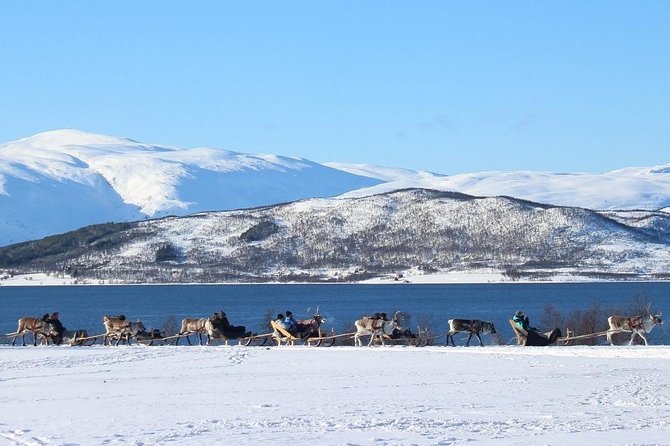 Sami Culture and Short Reindeer Sledding from Tromso - Joik Songs and Sami Stories You Can Actually Follow