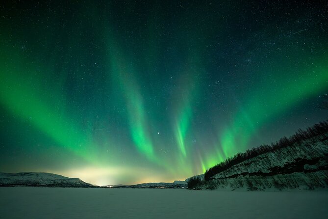 Sami Reindeer Camp Visit and Aurora Wonder Night - Key highlights you should know
