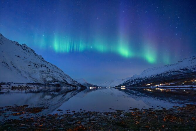 Sami Reindeer Camp Visit and Aurora Wonder Night - Sami reindeer camp: what you’ll likely do and why it matters