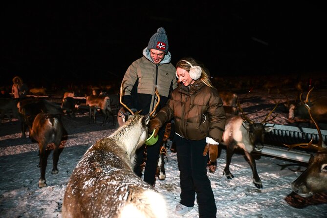 Sami Reindeer Camp Visit and Aurora Wonder Night - Aurora Wonder Night: the sky plan changes, and that’s a feature