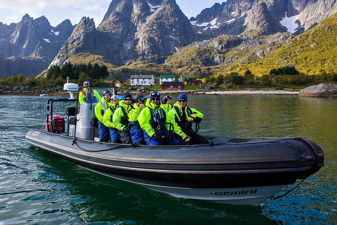 Sea Eagle Safari from Svolvær to Trollfjorden - RIB Speed Through Lofoten, Focused on Sea Eagles and Trollfjorden