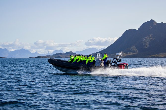 Sea Eagle Safari from Svolvær to Trollfjorden - Warmth That Helps in Real Cold: Thermal Suits, Mittens, Goggles, Vest
