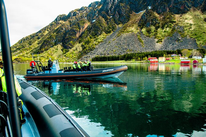 Sea Eagle Safari from Svolvær to Trollfjorden - Sea Eagle Spotting: How the Boat Style Improves Your Chances