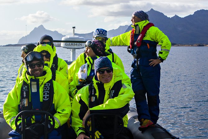 Sea Eagle Safari from Svolvær to Trollfjorden - Price and Value at About $156.56: When It’s a Smart Trade