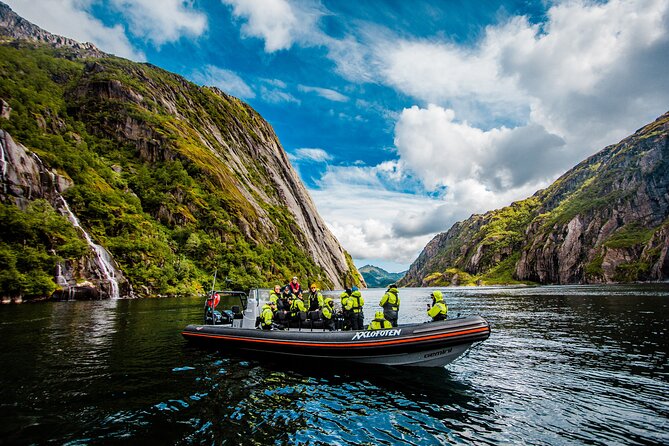 Sea Eagle Safari from Svolvær to Trollfjorden - Weather Reality: The Big Factor for Comfort and Cancel Changes