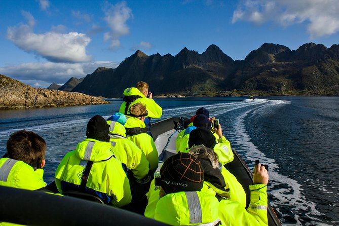 Sea Eagle Safari from Svolvær to Trollfjorden - Trollfjorden Stop: The 15-Minute Fjord Moment You Can Actually Use