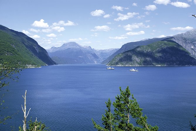 Self-Guided 22-Hour Round Trip From Oslo To Sognefjord With Flåm Railway - Fjord cruise on Aurlandsfjord and Nærøyfjord: two different moods