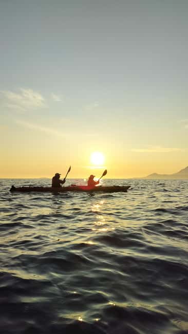 Senja: Guided Small Group Evening Kayaking Tour - Key things to know before you go