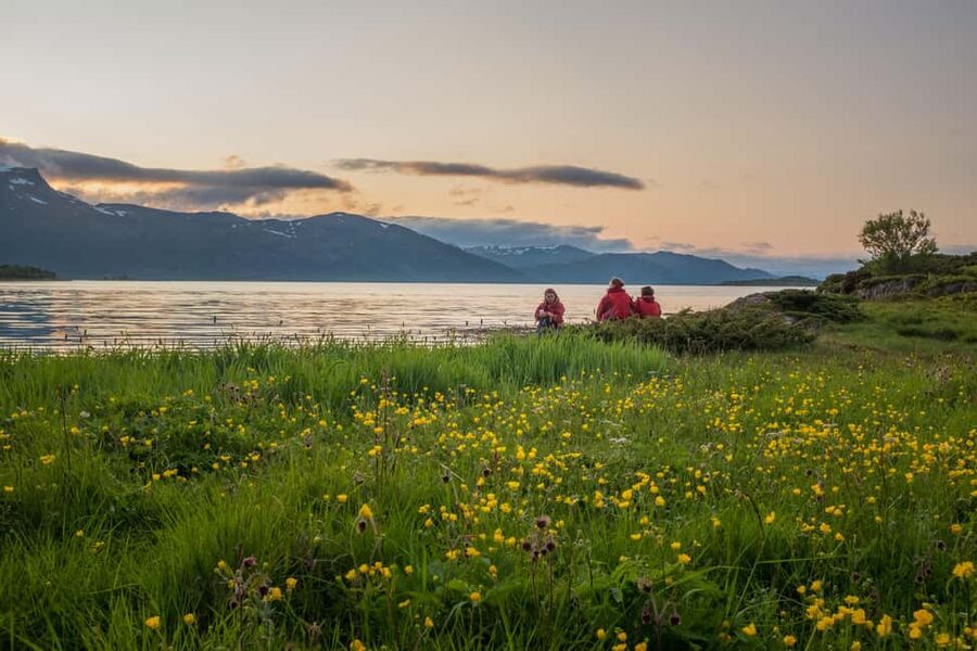 Senja: Guided Small Group Evening Kayaking Tour - The kombucha stop: local flavor on a secluded beach