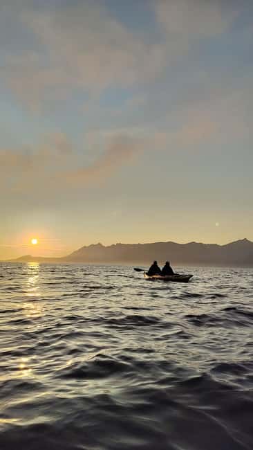 Senja: Guided Small Group Evening Kayaking Tour - What you get for the $199 price, and why it feels fair