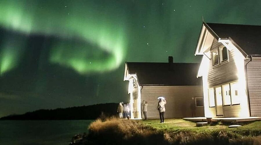 Senja: Wood-Fired Sauna Barrel - A wood-fired sauna barrel with sea dips and fjord views in Valvåg