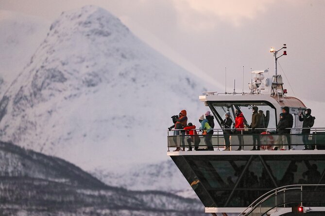 Silent Whale Watching by Hybrid-Electric Boat from Tromsø - Who Should Book This Silent Whale Watching Cruise?