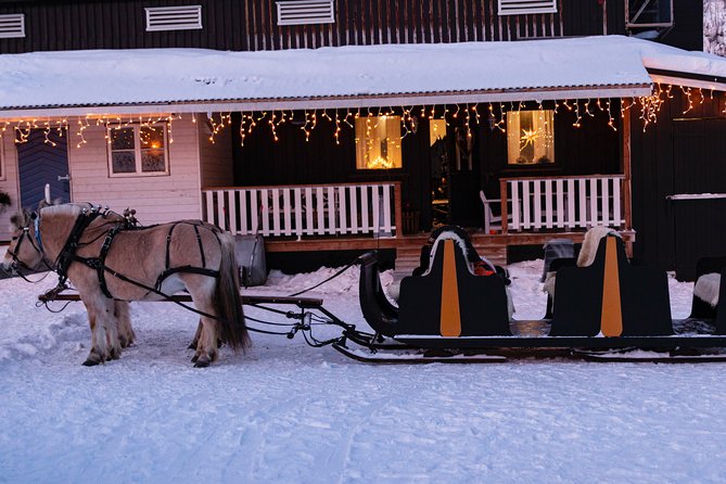 Sleigh Ride w/ Tapas Meal - Experience Arctic Farm Life - Alta’s Arctic farm life, paired with a real horse sleigh ride