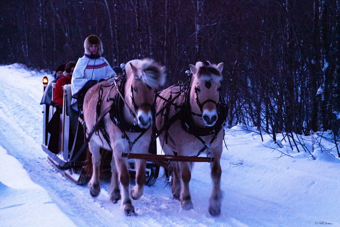 Sleigh Ride w/ Tapas Meal - Experience Arctic Farm Life - Best for: who should book this sleigh ride with tapas
