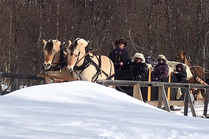 Sleigh Ride w/ Tapas Meal - Experience Arctic Farm Life - Cold-weather comfort: warm clothing, blankets, and how to dress
