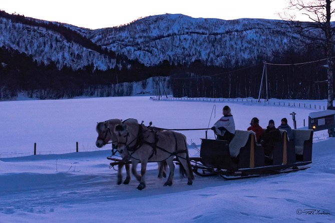 Sleigh Ride w/ Tapas Meal - Experience Arctic Farm Life - Price and logistics: making it easy from your hotel