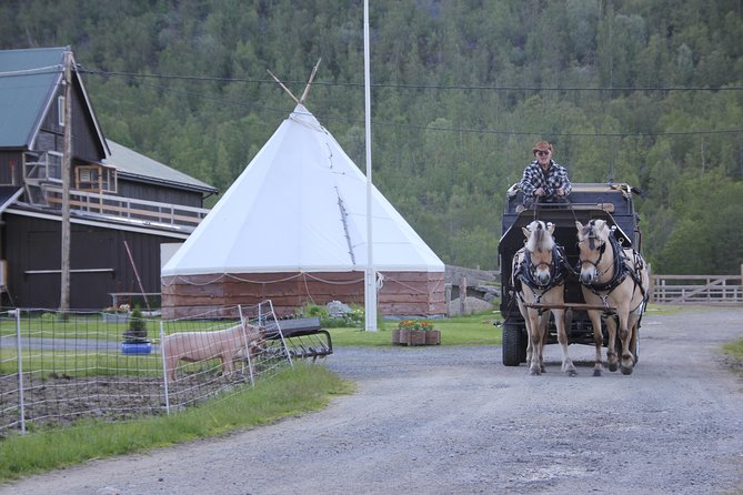 Sleigh Ride w/ Tapas Meal - Experience Arctic Farm Life - Should you book Sleigh Ride with Tapas Meal in Alta?