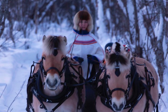Sleigh Ride w/ Tapas Meal - Experience Arctic Farm Life - The 2.5 hour plan: sleigh, Sami tent tapas, then sheep farm time