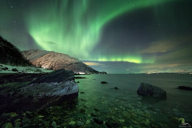 Small-Group Northern Lights Tour from Tromso with Photos - Price and value: what $153.25 gets you, and where the risk is