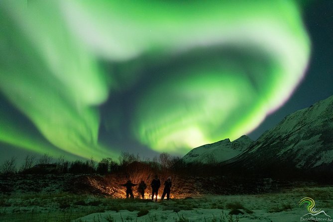 Small-Group Northern Lights Tour from Tromso with Photos - Who this tour suits best