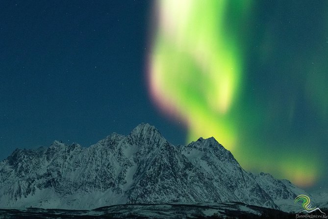 Small-Group Northern Lights Tour from Tromso with Photos - Thermal suits, hot drinks, snacks, and fires that keep you sane