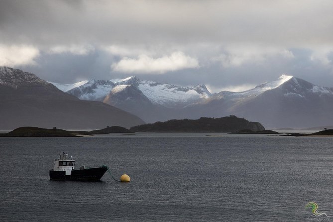 Small-Group Norwegian Fjords Tour from Tromso with Photos - Why this Tromsø fjords tour is a smart half-day choice