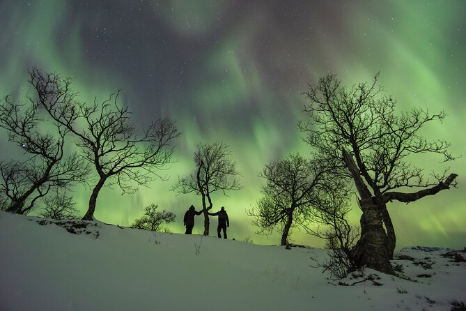 Small Group Quest to find the Northern Lights in Tromsø - Northern Lights Hunting in Tromsø, With a Plan That Can Change