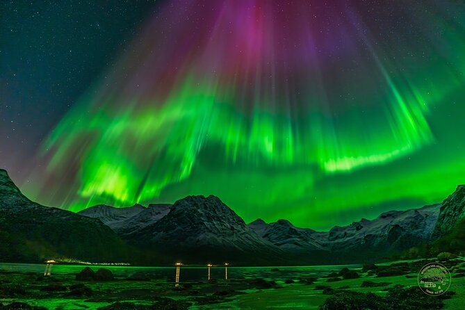 Small Group Van Journey in Search of the Northern Lights - Staying Warm Without Turning Your Day Into a Cold Workout